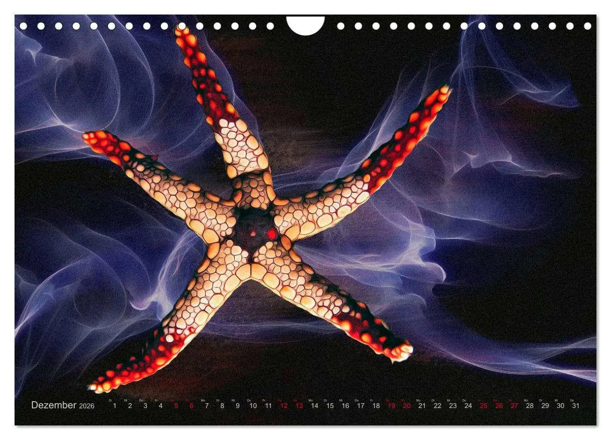 Bild: 9783457864654 | Artwork Unterwasser - Erlebnis Tauchen (Wandkalender 2026 DIN A4...